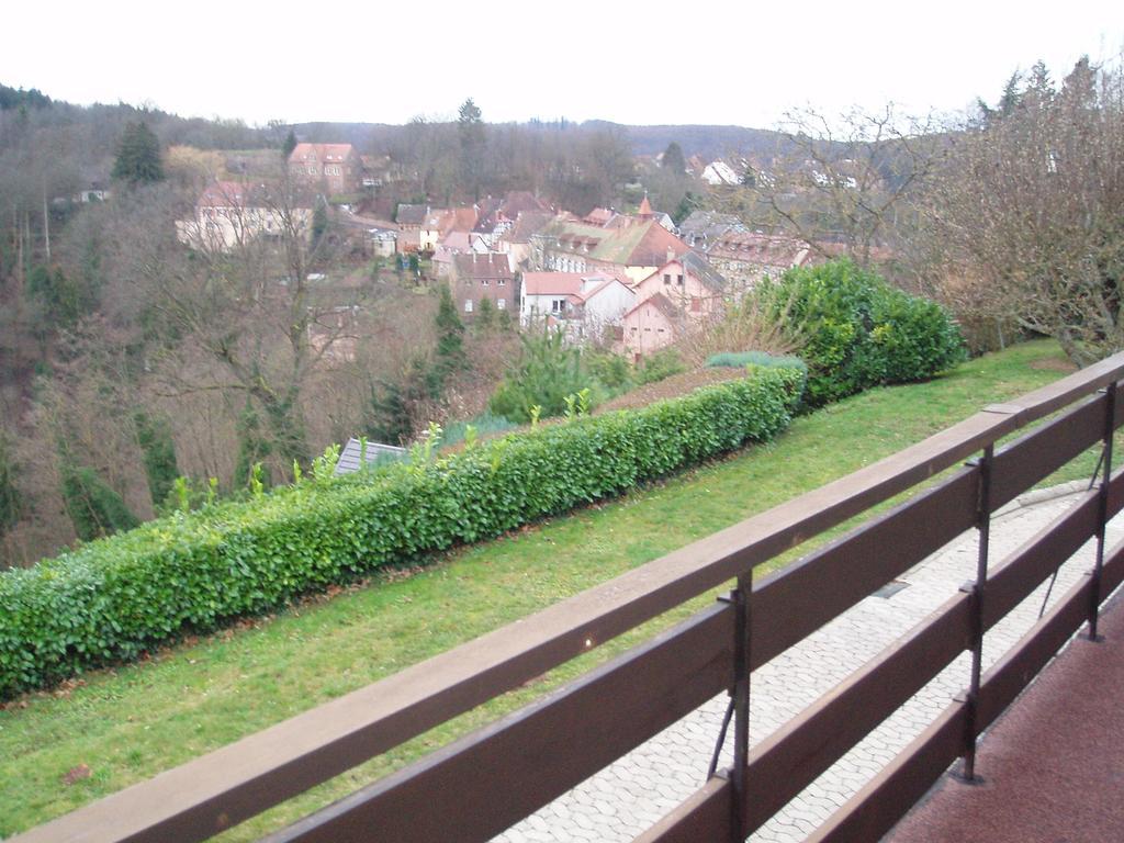 Villa Du Lion D'Or La Petite-Pierre Kamer foto