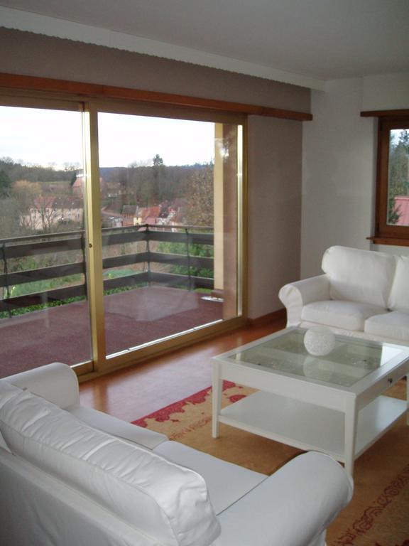 Villa Du Lion D'Or La Petite-Pierre Kamer foto